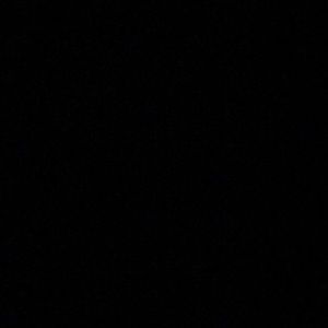 Meet your Posher, Raina